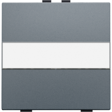 Touche simple avec porte-étiquette pour interrupteur sans fil ou bouton-poussoir à 2 boutons de commande, steel grey coated.