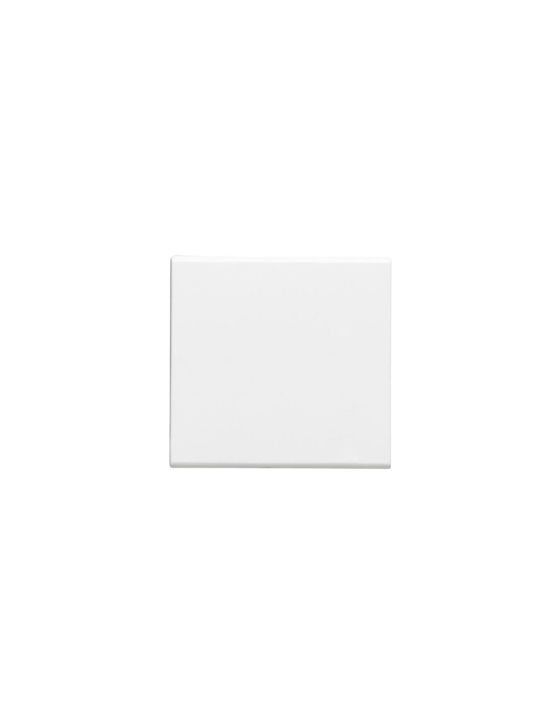 Mosaic deux directions easyled-10AX 2 modules blanc