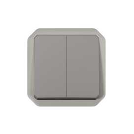 Plexo double interrupteurs 2 directions ou poussoir méca IP55 IK08 gris