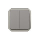 Plexo double interrupteurs 2 directions ou poussoir méca IP55 IK08 gris
