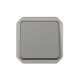 Plexo interrupteur 2 directions 10AX mécanisme IP55 IK08 gris