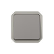 Plexo interrupteur bipolaire lumineux (sans témoins) IP55 IK08 gris