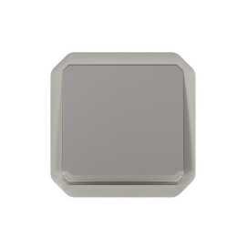 Plexo bouton-poussoir NO lumineux 10A mécanisme IP55 IK08 gris