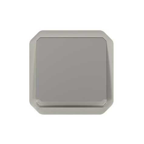 Plexo bouton-poussoir NO lumineux 10A mécanisme IP55 IK08 gris Plexo bouton-poussoir NO lumineux 10A mécanisme IP55 IK08 gris