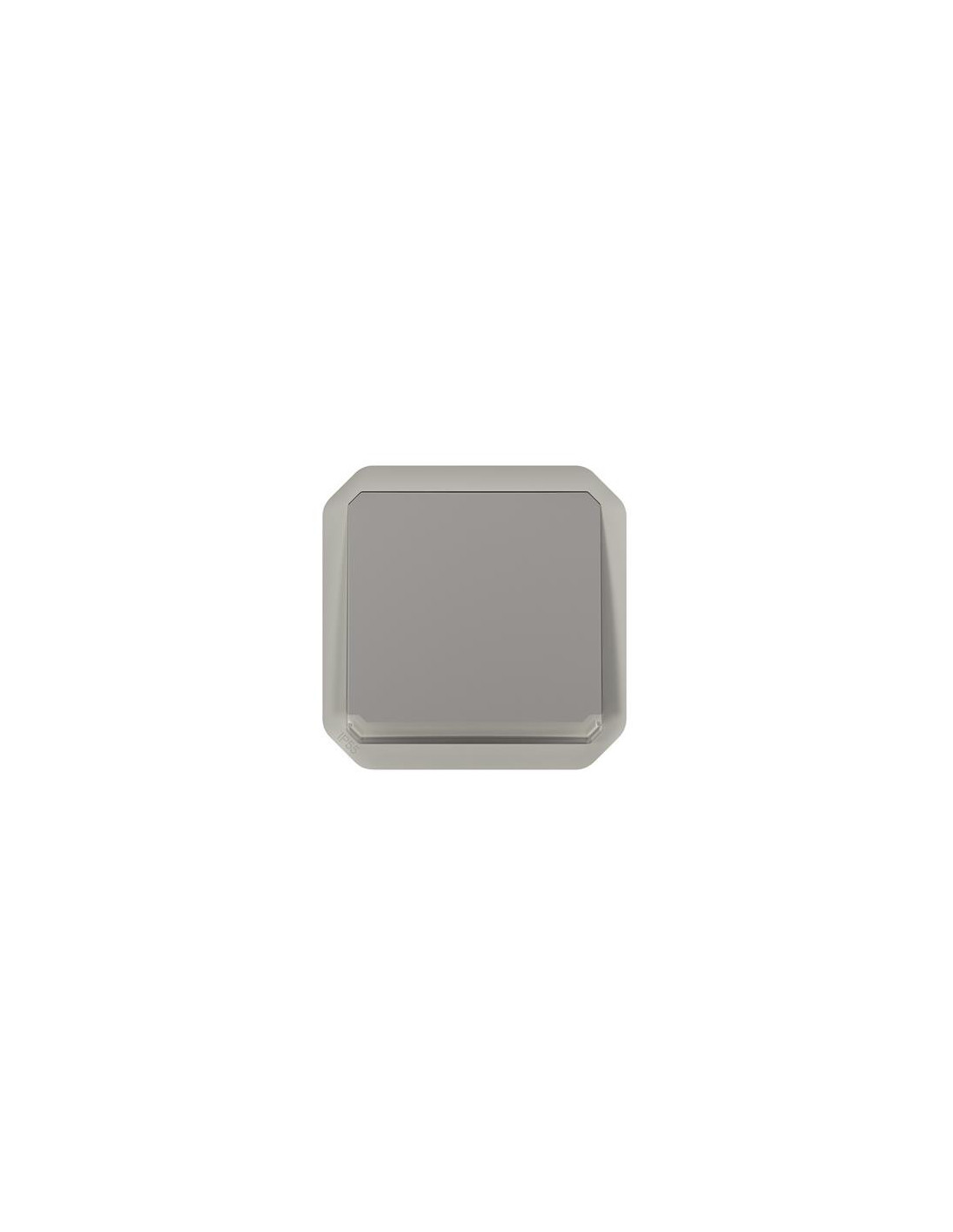 Plexo bouton-poussoir NO lumineux 10A mécanisme IP55 IK08 gris