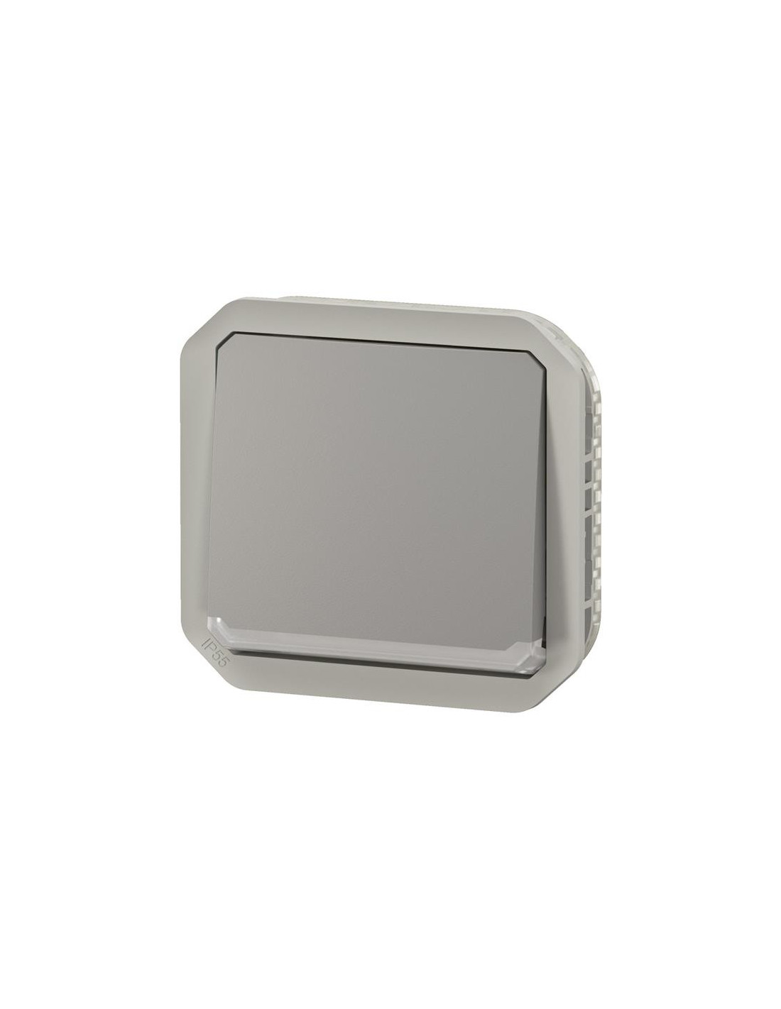 Plexo prise 2P+T bornes à vis mécanisme IP55 IK08 gris