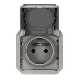 Plexo prise 2P+T bornes auto mécanisme IP55 IK08 gris