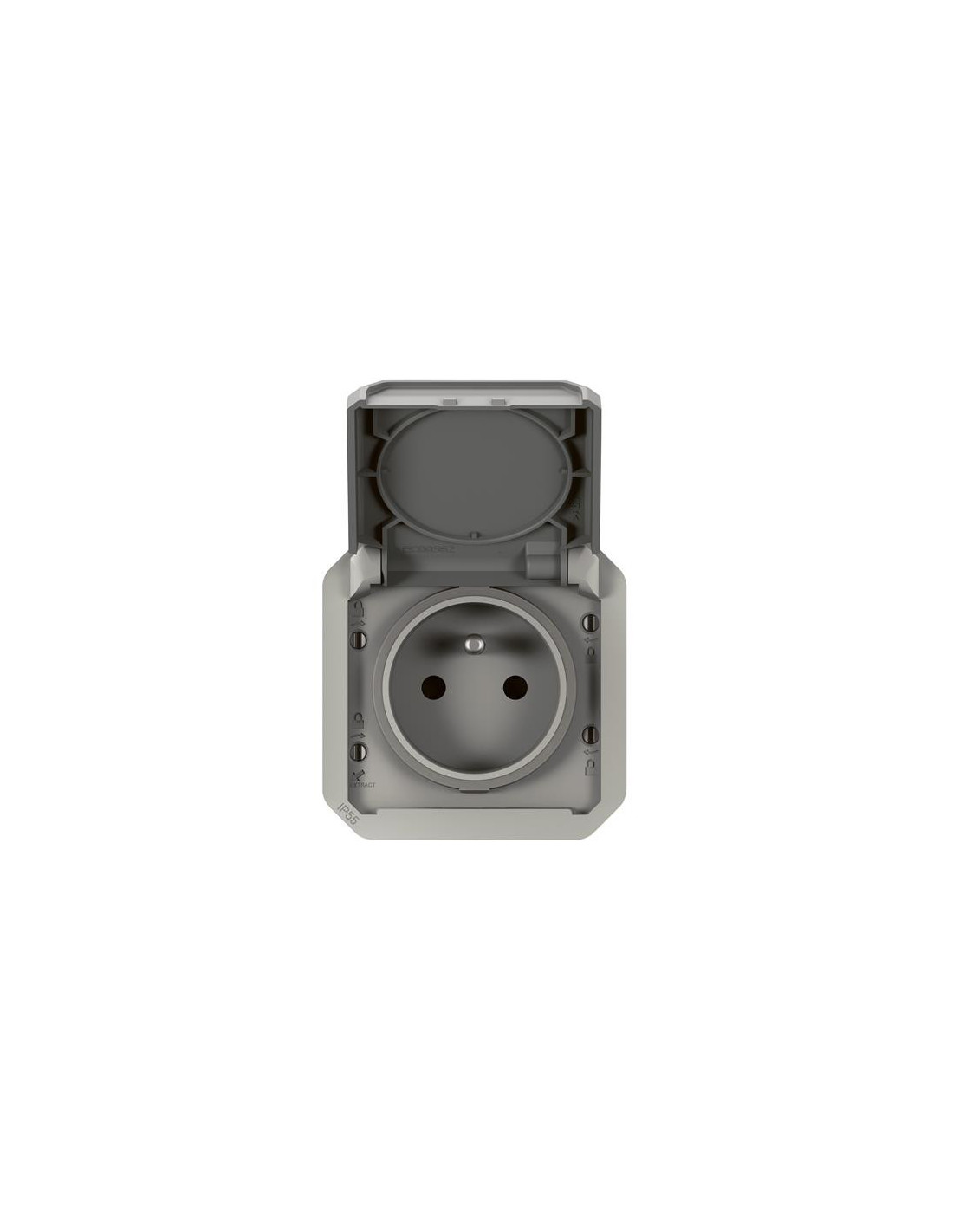 Plexo prise 2P+T bornes auto mécanisme IP55 IK08 gris