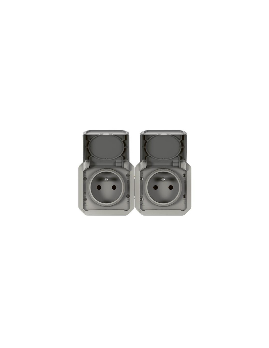 Plexo prise 2x2P+T horizontal mécanisme IP55 IK08 gris