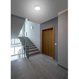 LIDY 24W 4010Lm IP66 BLANC 2