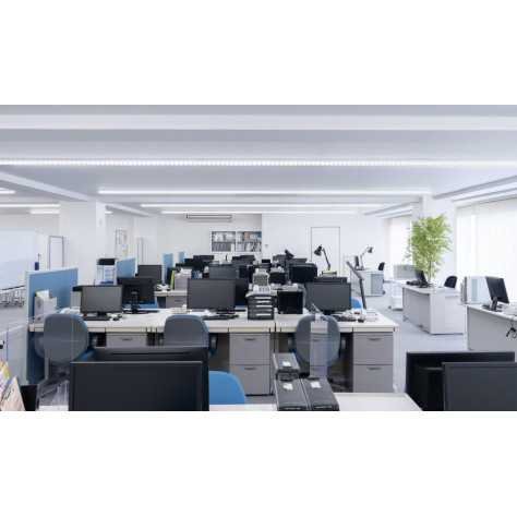 LINEAR 1 C 38W 6625Lm 75° DALI BLANC MAT - ARGENT