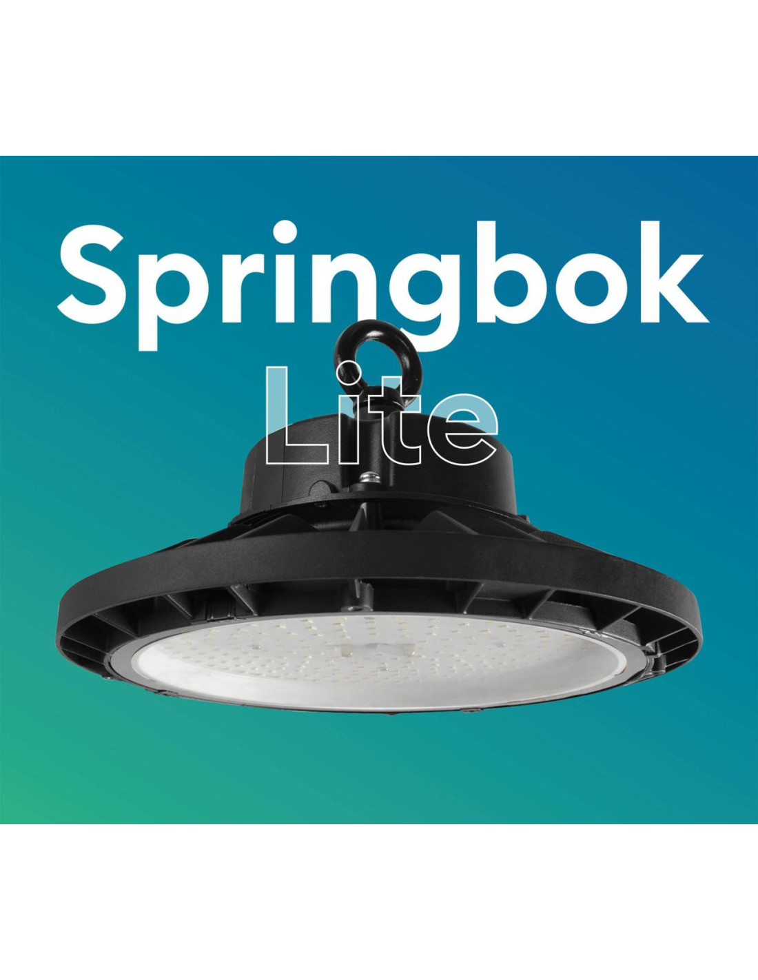 SPRINGBOK LITE 1 80W 13150Lm 4000K 110° IP65 NOIR