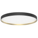 NOVA CSP 3 C 68W 120° NOIR MAT - DORÉ