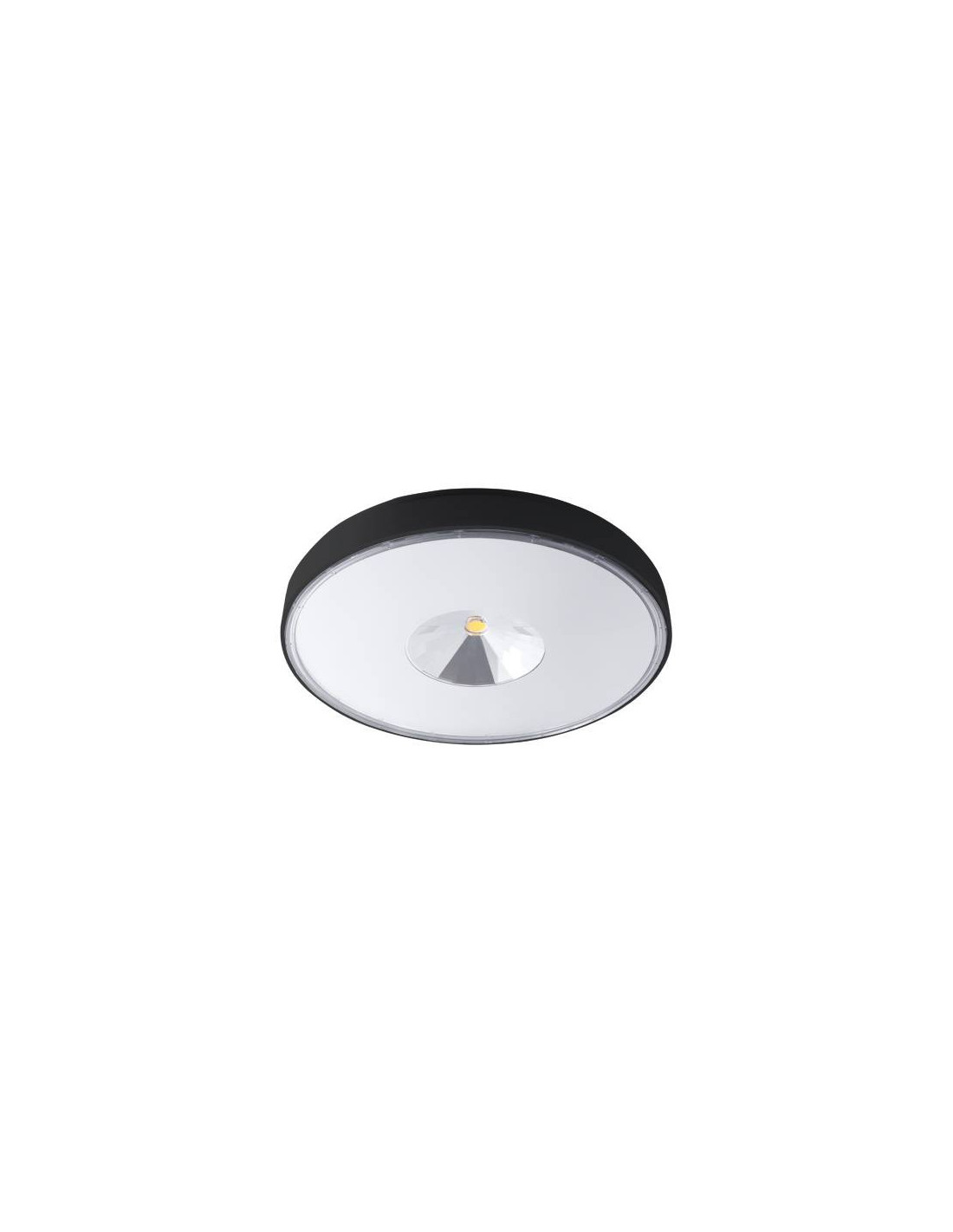 SKIP 2 30W 3800Lm 3000K 120° IP65 NOIR