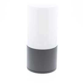 RONDO W E27 MAX18W IP54 ANT. + VERRE OPALIN 2