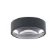 LEWIS 6W 470Lm 3000K IP65 ANTHRACITE