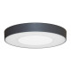 ASPI 1 SENSOR PLUS 30W 3000Lm IP54 ANTHRACITE