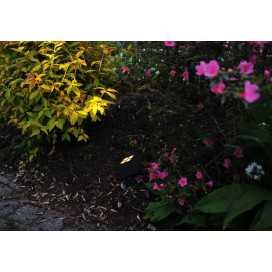 VISIERE ANTHRACITE 2