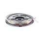 ST160 22W/m L:5m 24VDC 4000K