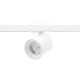 RAY 13W 1405Lm 38° BLANC MAT
