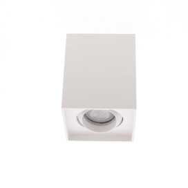 ALBA S GU10 MAX10W PAR16 BLANC MAT 2