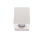 ALBA S GU10 MAX10W PAR16 BLANC MAT