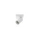 NOLY GU10 MAX10W PAR16 BLANC MAT