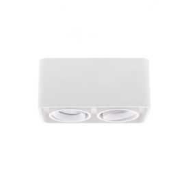 LUPO 2 2x10W 2x500Lm 3000K 38° BLANC MAT 2