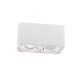 LUPO 2 2x10W 2x500Lm 3000K 38° BLANC MAT