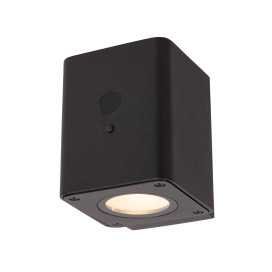 RAMIN - Applique murale Intérieur/Extérieur - LED Dim. - 1x1W 2850K/3150K - IP54 - Détecteur Jour/Nuit - Noir