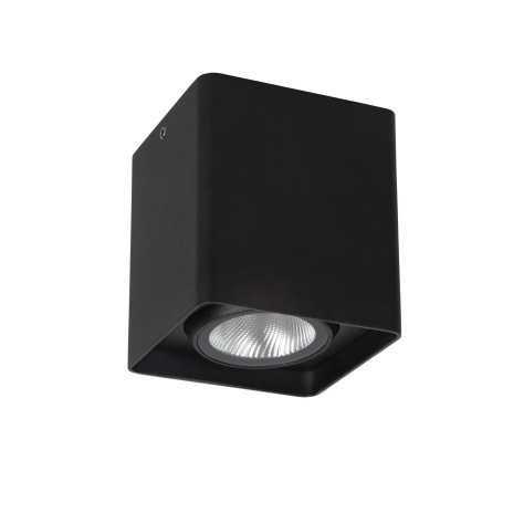 LEEDS - Plafonnier Intérieur/Extérieur - LED - 1x9W 2700K - IP54 - Noir