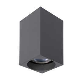 DELTO - Spot plafond - LED Dim to warm - GU10 - 1x5W 2200K/3000K - Gris 2