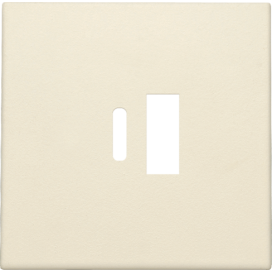 Set de finition pour double chargeur USB-A et USB-C intelligent, couleur cream