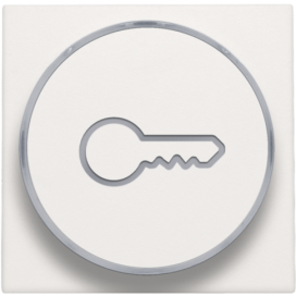 Set de finition avec anneau transparent avec symbole clé pour bouton-poussoir 6 A avec LED couleur ambre avec culot E10, couleur white