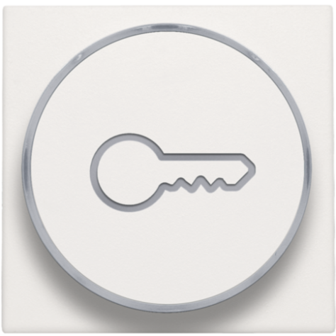 Set de finition avec anneau transparent avec symbole clé pour bouton-poussoir 6 A avec LED couleur ambre avec culot E10, couleur white