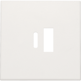Set de finition pour double chargeur USB-A et USB-C intelligent, couleur white