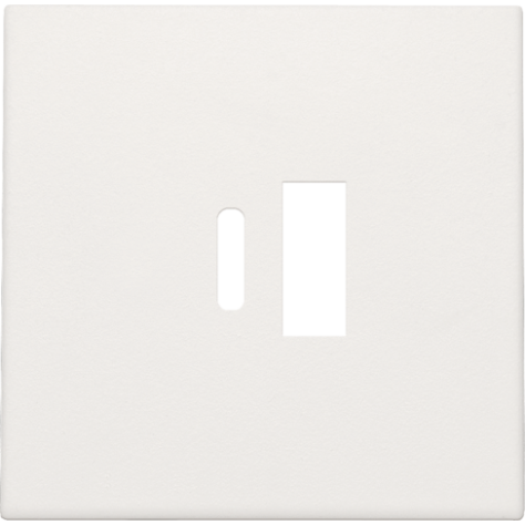 Set de finition pour double chargeur USB-A et USB-C intelligent, couleur white