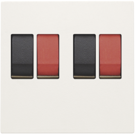 Set de finition pour prise haut-parleur double, pour encastrement dans des goulottes d'installation ou un appareillage étanche