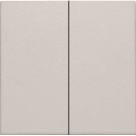Set de finition pour interrupteur électronique double ou bouton-poussoir, couleur light grey