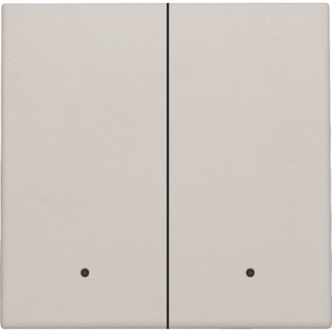 Set de finition avec lentille pour interrupteur électronique double ou bouton-poussoir, couleur light grey