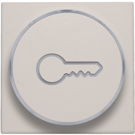 Set de finition avec anneau transparent avec symbole clé pour bouton-poussoir 6 A avec LED couleur ambre avec culot E10, couleur light grey