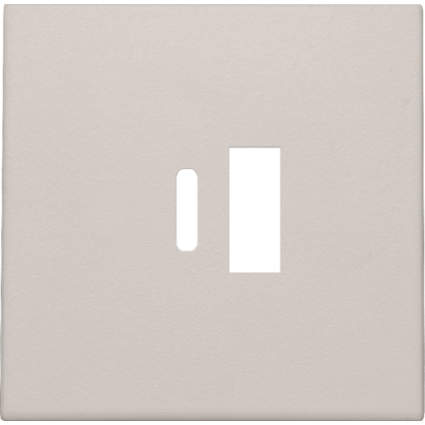 Set de finition pour double chargeur USB-A et USB-C intelligent, couleur light grey