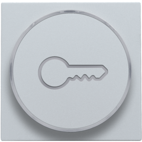 Set de finition avec anneau transparent avec symbole clé pour bouton-poussoir 6 A avec LED couleur ambre avec culot E10, couleur sterling coated