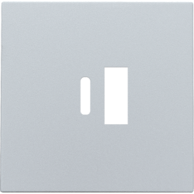 Set de finition pour double chargeur USB-A et USB-C intelligent, couleur sterling coated