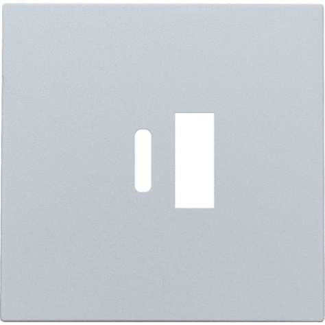 Set de finition pour double chargeur USB-A et USB-C intelligent, couleur sterling coated