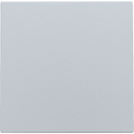 Cache-trou étanche aux projections d'eau, couleur sterling coated