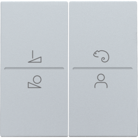 Set de finition pour un interrupteur ou un bouton-poussoir sans fil avec 4 boutons de commande et une commande de LED, couleur sterling coated