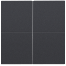 Clé double, pour variateur sans fil (Hue®, Bluetooth®, EnOcean®, KNX®), couleur anthracite coated