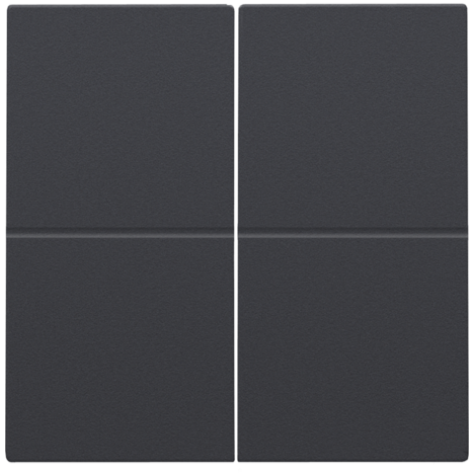 Clé double, pour variateur sans fil (Hue®, Bluetooth®, EnOcean®, KNX®), couleur anthracite coated