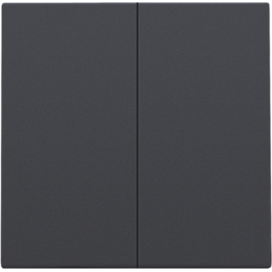 Set de finition pour interrupteur électronique double ou bouton-poussoir, couleur anthracite coated